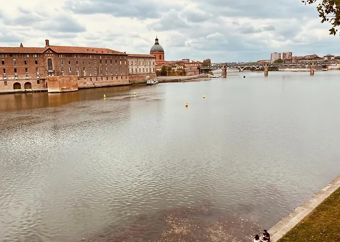 Duplex Tolosa: Pont-neuf Retreat With Ac And Private Parking Apartment *