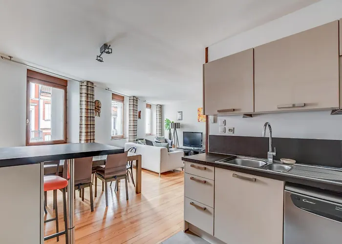 Apartment Duplex Tolosa: Pont-neuf Retreat With Ac And Private Parking *